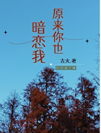 原来你也在这里歌曲歌词